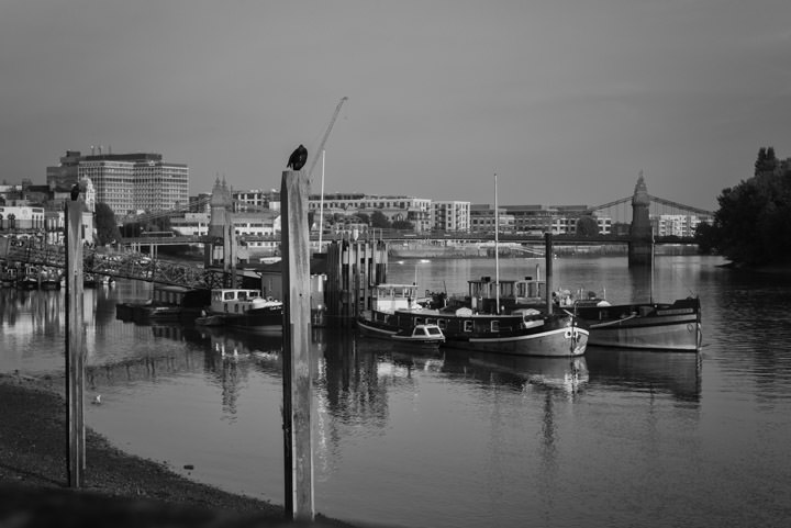 Boats at Hammersmith Bridge 1